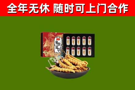 民乐回收冬虫夏草价格